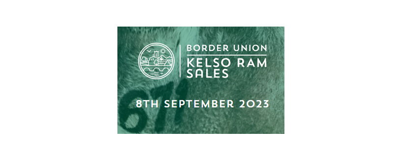 Kelso Ram Sale 2023