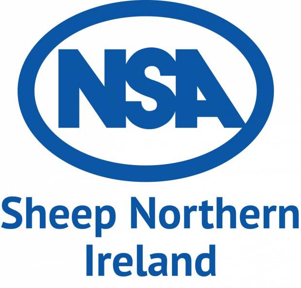 NSA Sheep Northern Ireland 2023