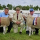 he British Berrichon Sheep Society Show Results at the Devon County Show - May 17th, 2024