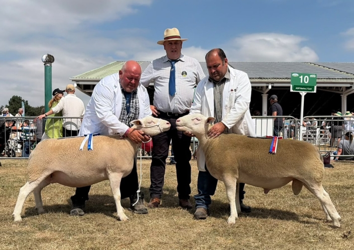 Great Yorkshire Show 2026 – Champion and Reserve