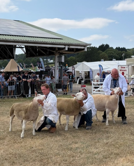 Great Yorkshire Show 2026 – line up