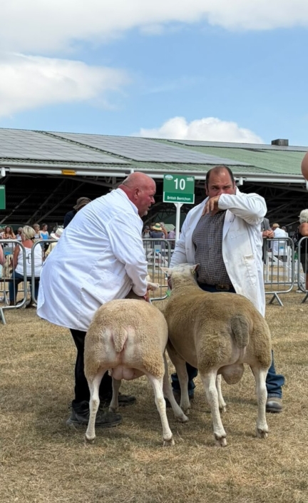Great Yorkshire Show Group of Two R Bett